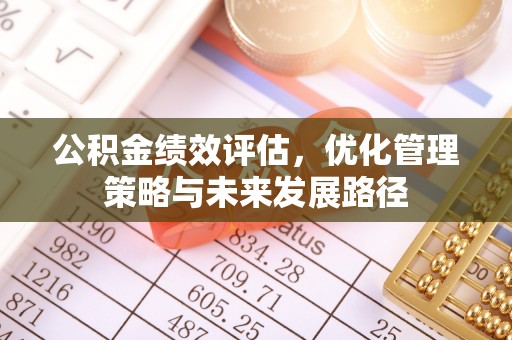 蒲县公积金绩效评估，优化管理策略与未来发展路径