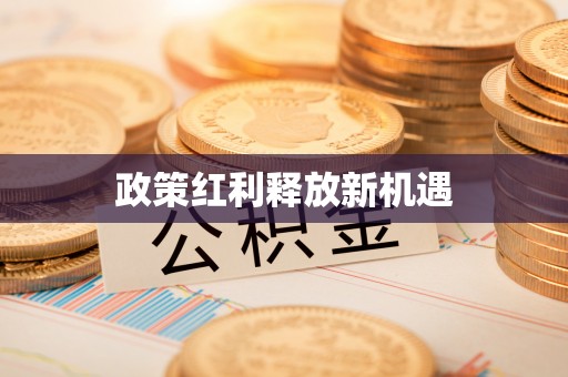 蒲县政策红利释放新机遇