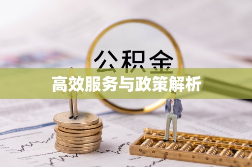 蒲县高效服务与政策解析