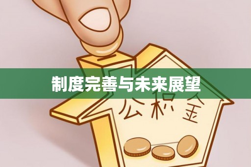 蒲县制度完善与未来展望