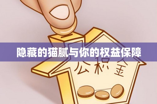 蒲县隐藏的猫腻与你的权益保障