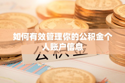 蒲县如何有效管理你的公积金个人账户信息