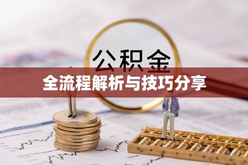 蒲县全流程解析与技巧分享